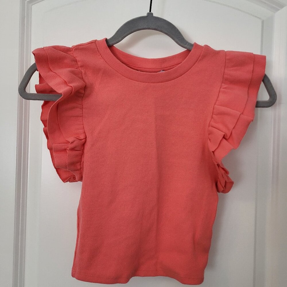 Zara Cropped Butterfly Sleeve Tee